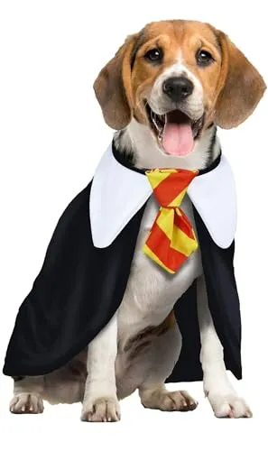 Fiestas Guirca Studente Magia costume cane S mantello