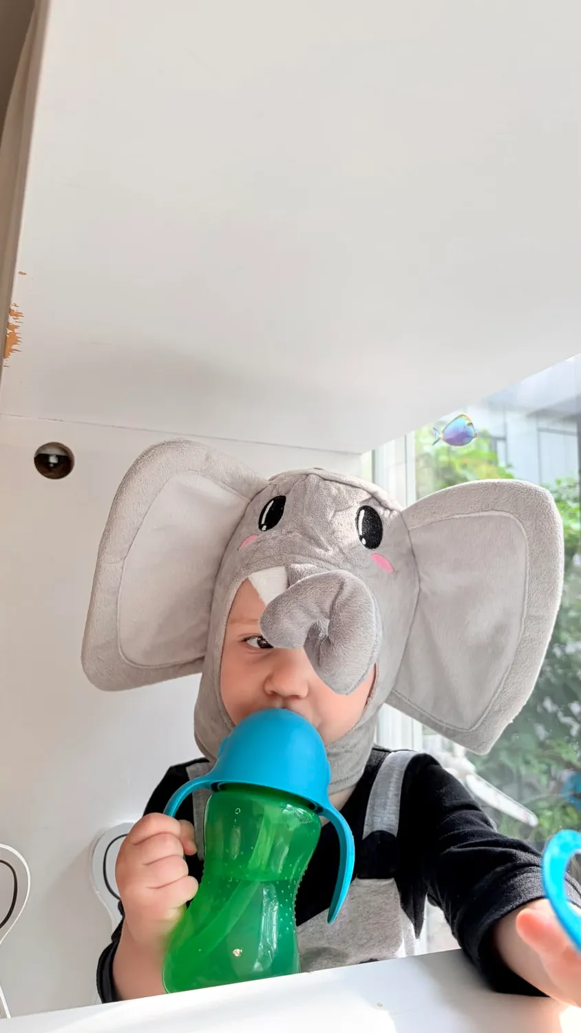 Funidelia elefante costume neonato 12-24 mesi multicolore