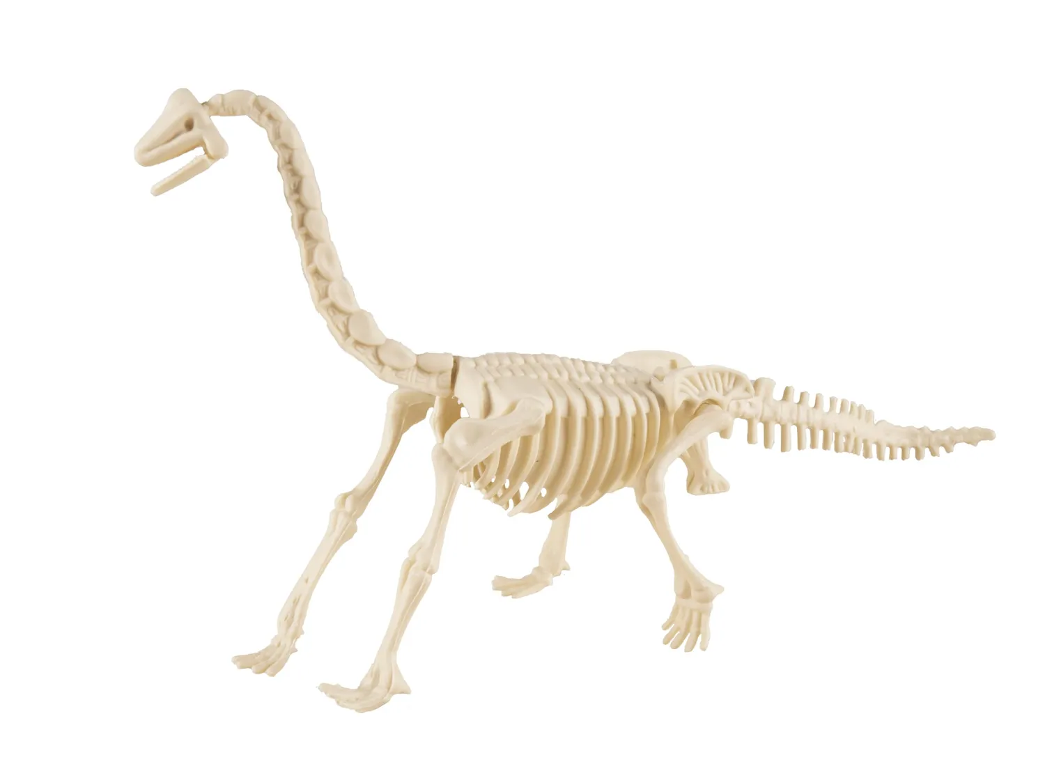 P'tit Clown scheletro dinosauro decorazione modello casuale