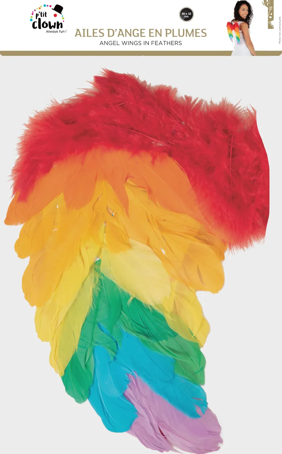 P'tit Clown Ali Angelo piume arcobaleno 40x32 cm Carnevale