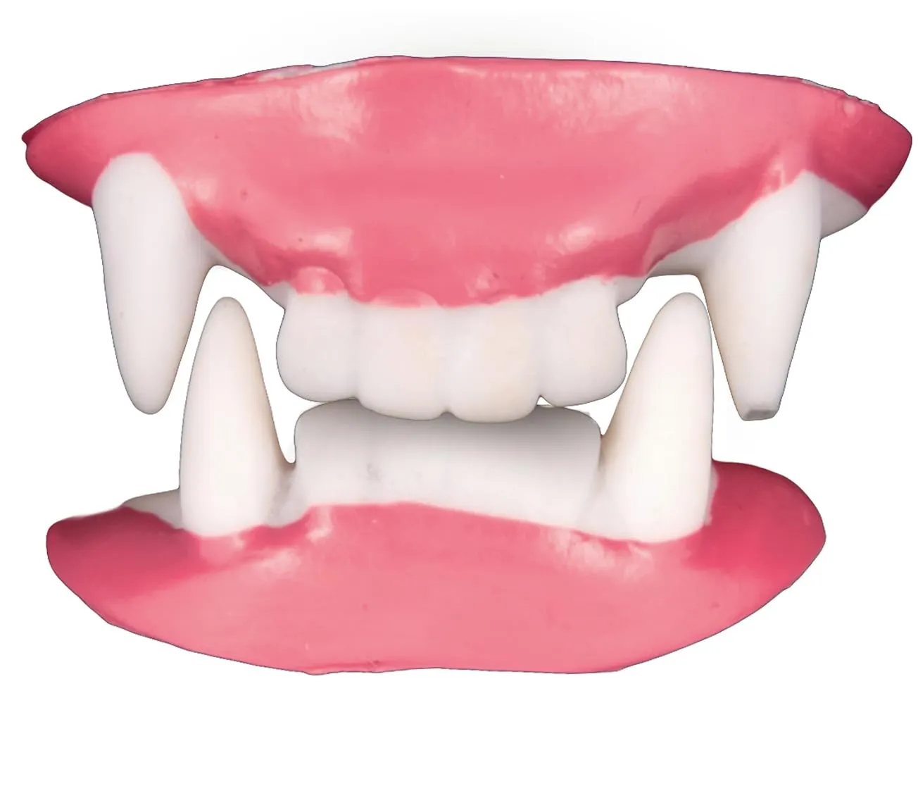 Guirca Dentiera Doppia Vampiro Accessorio Halloween