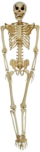 P'tit Clown 16050 Scheletro decorazione 150 cm plastica