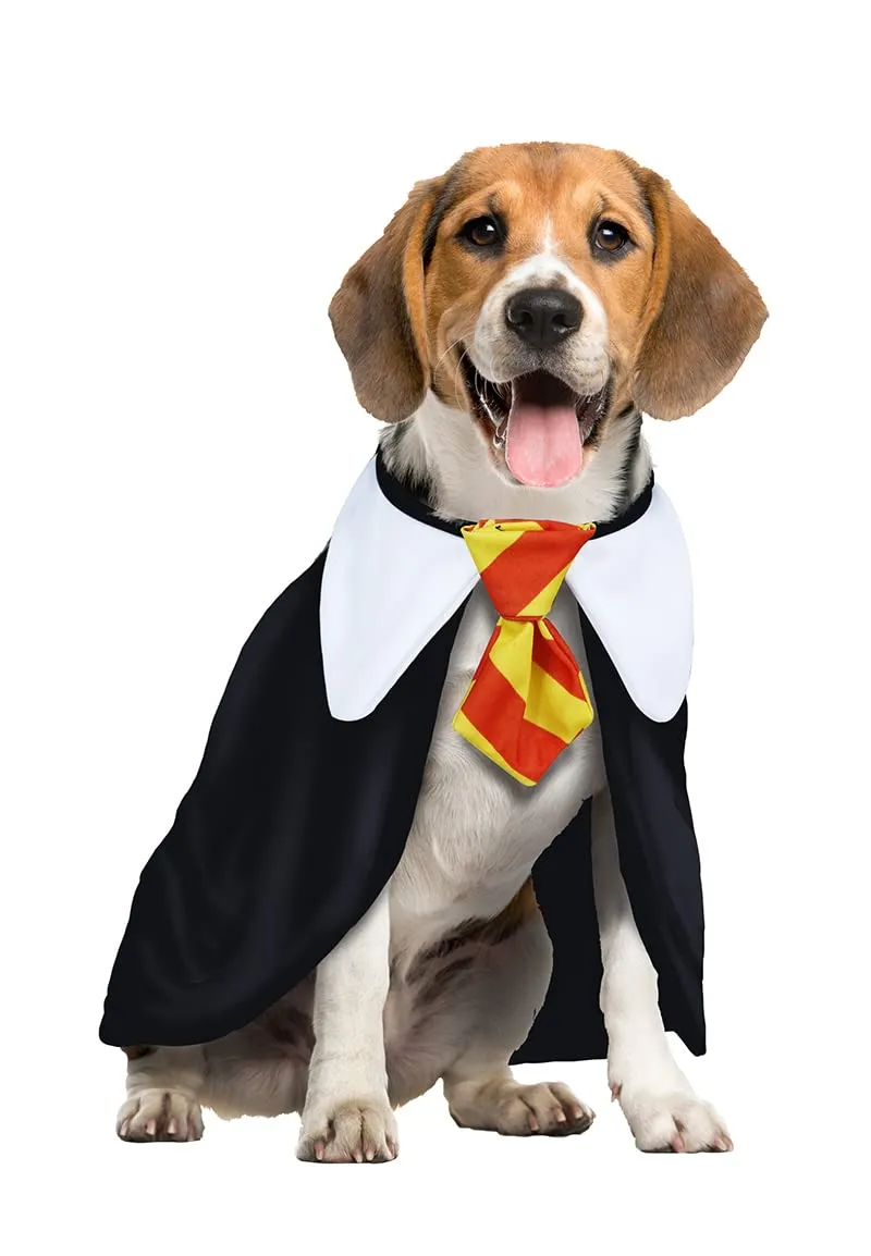 Fiestas Guirca Studente Magia costume cane S mantello