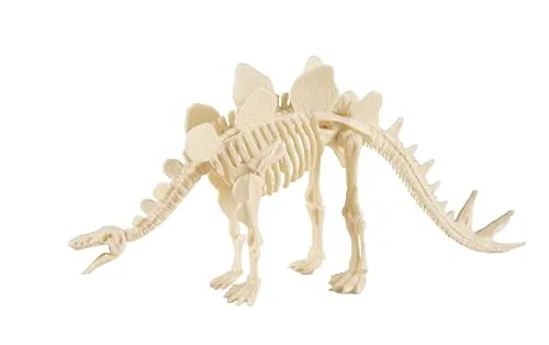P'tit Clown scheletro dinosauro decorazione modello casuale
