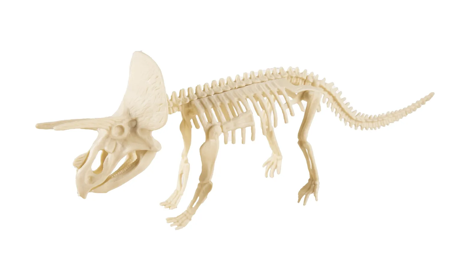 P'tit Clown scheletro dinosauro decorazione modello casuale