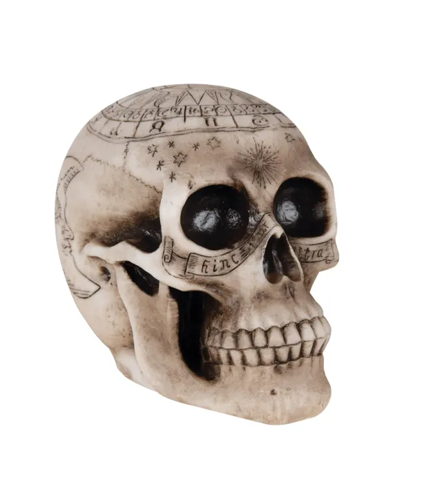 P'tit Clown teschio resina 20 cm decorazione halloween beige