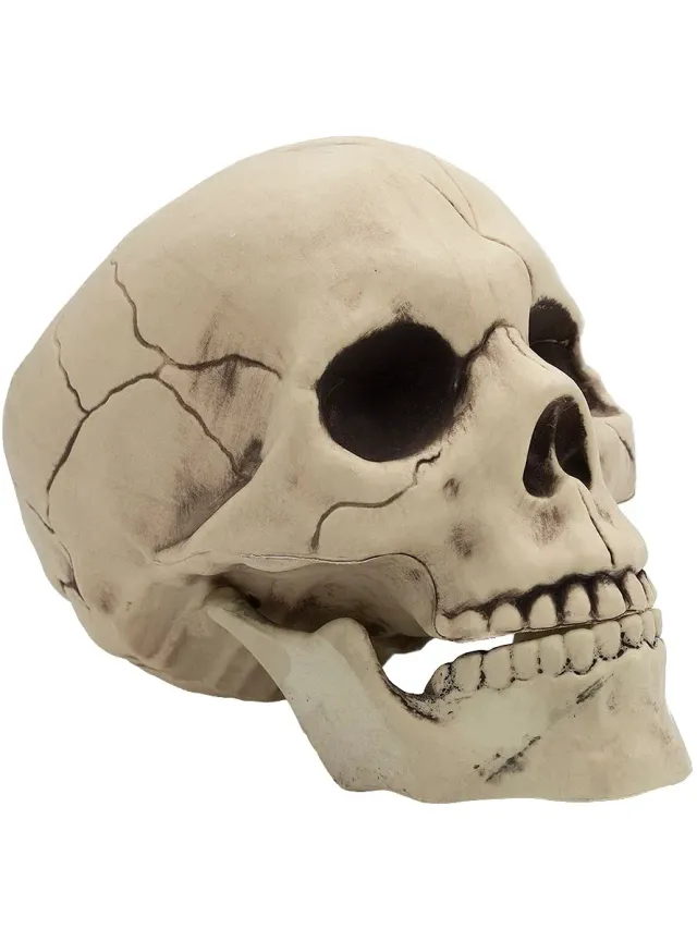 Funidelia Teschio decorativo Halloween bianco 17 cm
