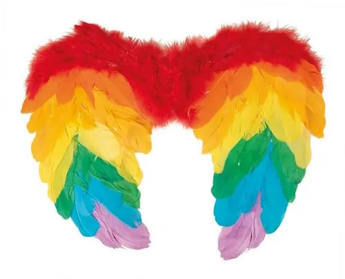 P'tit Clown Ali Angelo piume arcobaleno 40x32 cm Carnevale