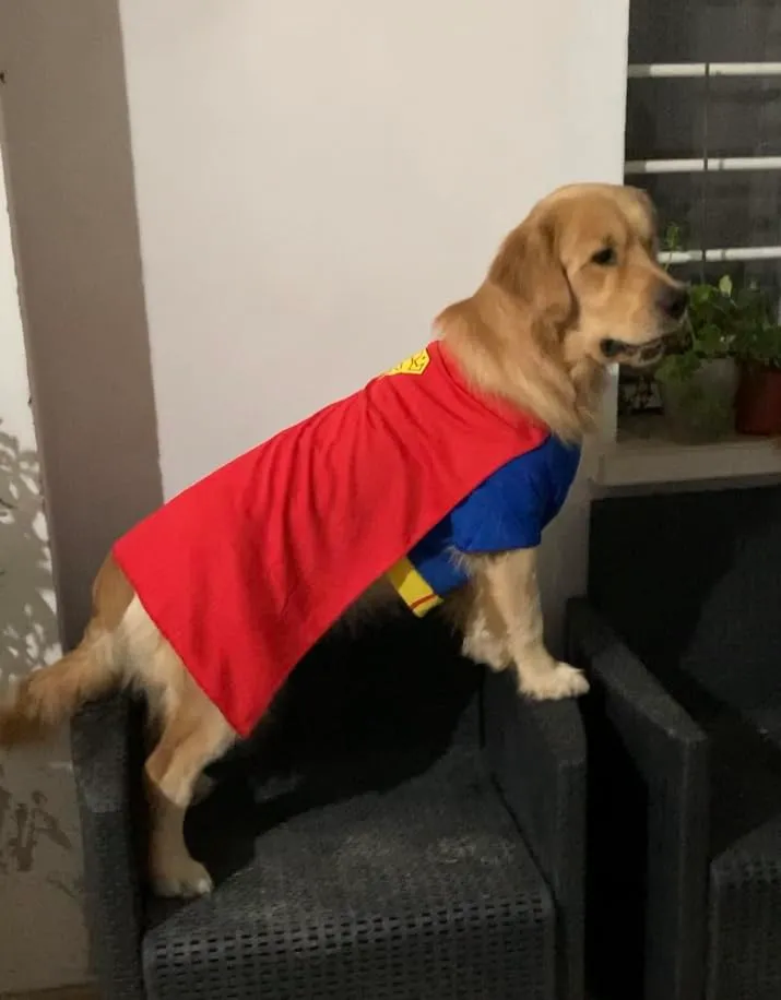 Funidelia Superman costume cane taglia S blu ufficiale