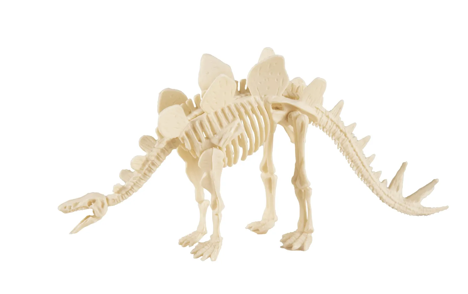 P'tit Clown scheletro dinosauro decorazione modello casuale