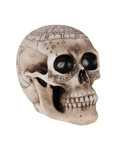 P'tit Clown teschio resina 20 cm decorazione halloween beige