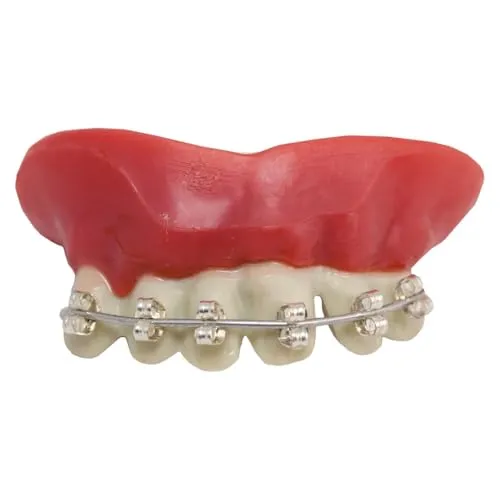 P'tit Clown Dentiera Finta denti finti adulto taglia unica