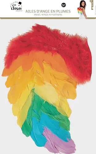 P'tit Clown Ali Angelo piume arcobaleno 40x32 cm Carnevale
