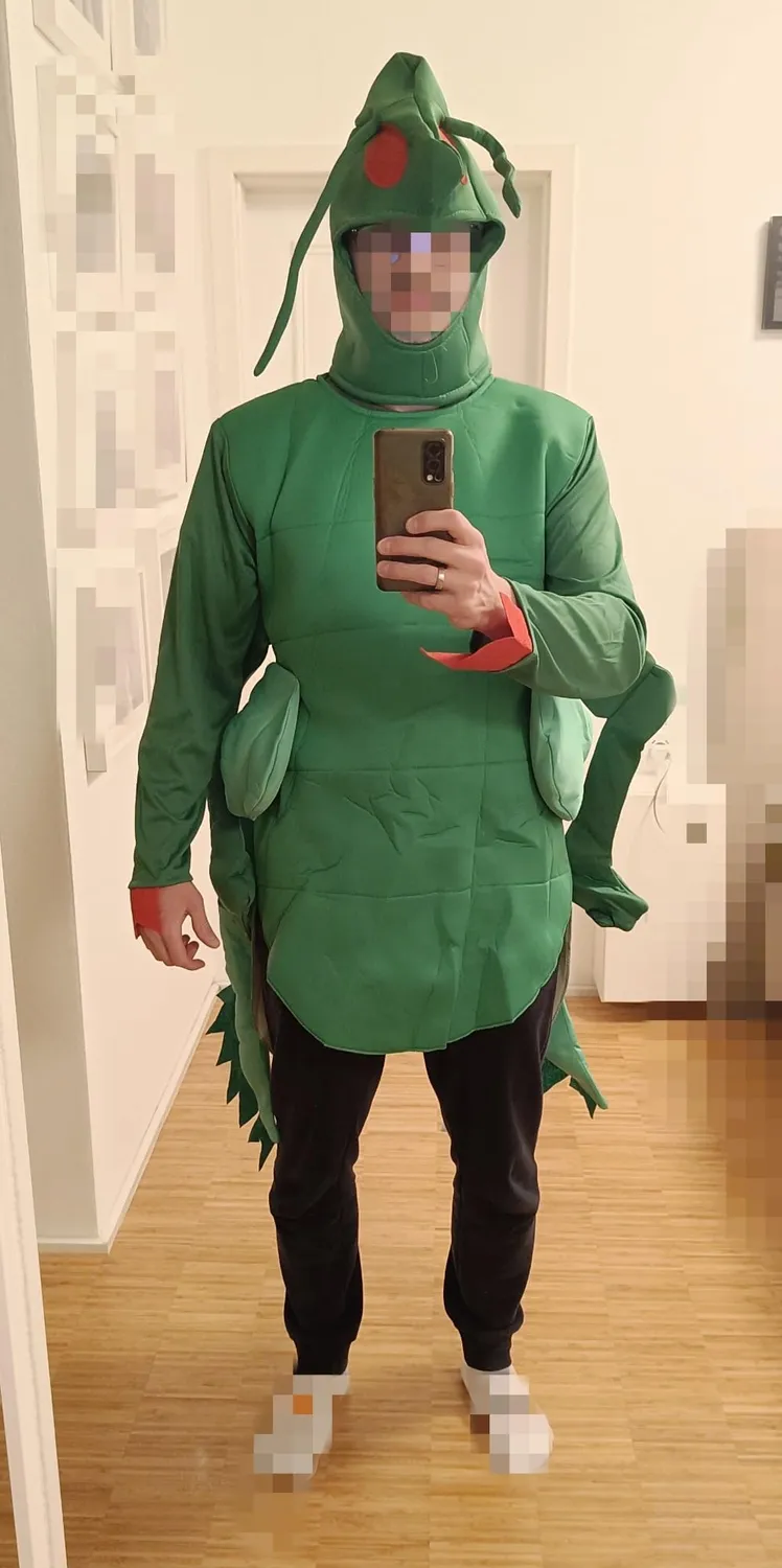 Funidelia Cavalletta costume adulto L-XL verde