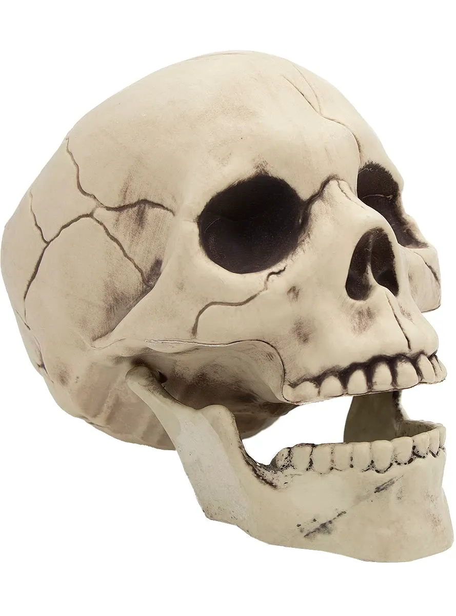 Funidelia Teschio decorativo Halloween bianco 17 cm