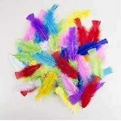 P'tit Clown 14515 piume costume 50 pezzi multicolore 8-12 cm