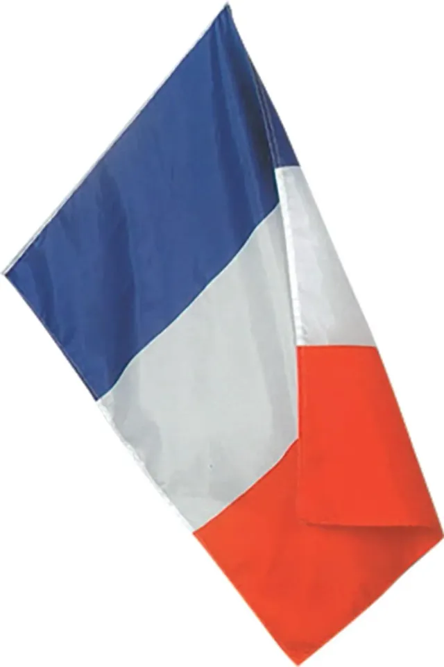 P'tit Clown 29700 bandiera Francia 90x150 cm plastica
