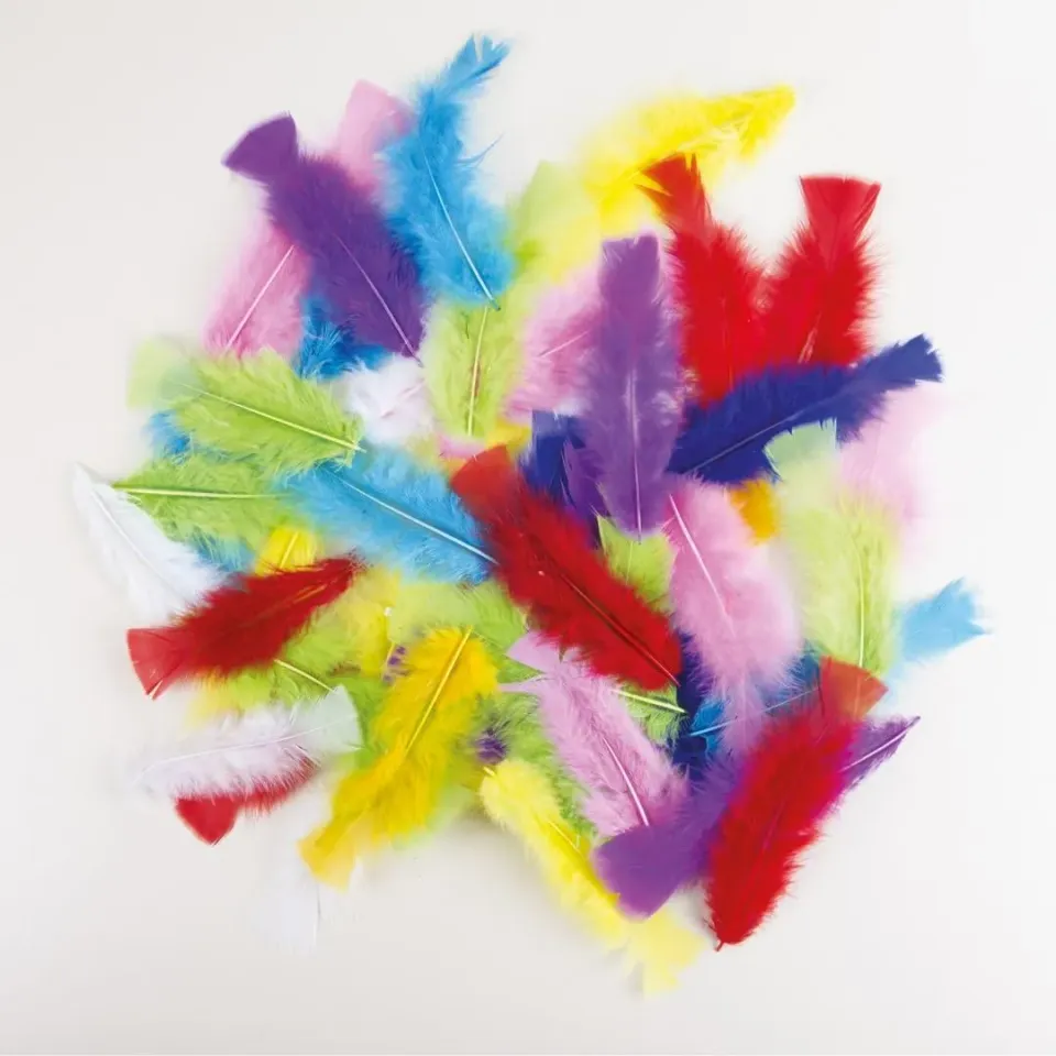 P'tit Clown 14515 piume costume 50 pezzi multicolore 8-12 cm