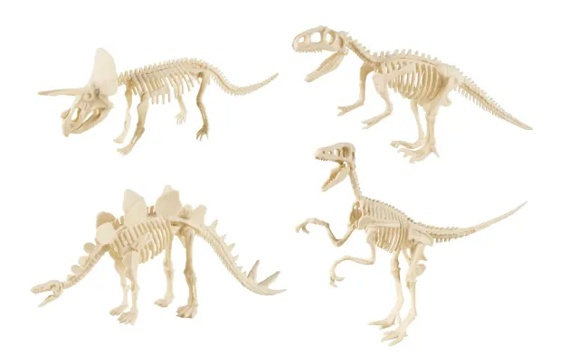P'tit Clown scheletro dinosauro decorazione modello casuale