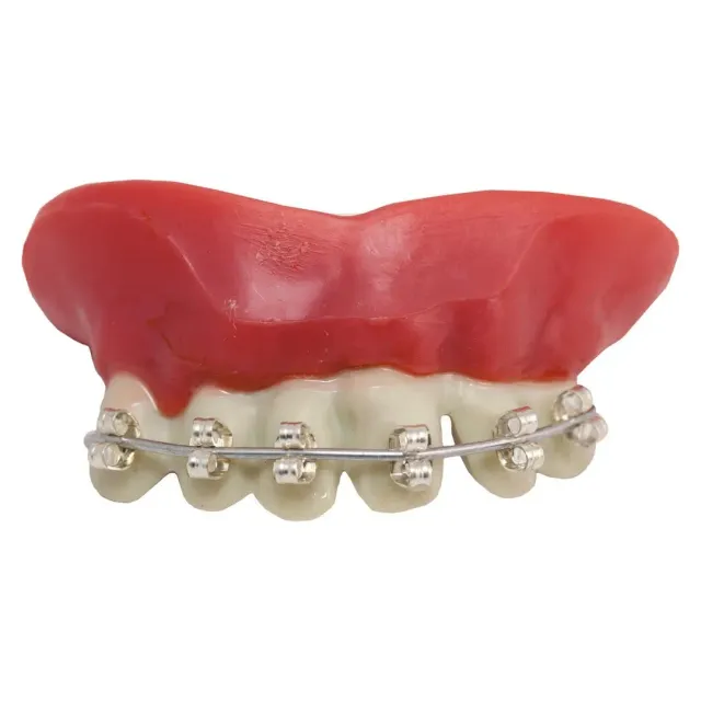 P'tit Clown Dentiera Finta denti finti adulto taglia unica