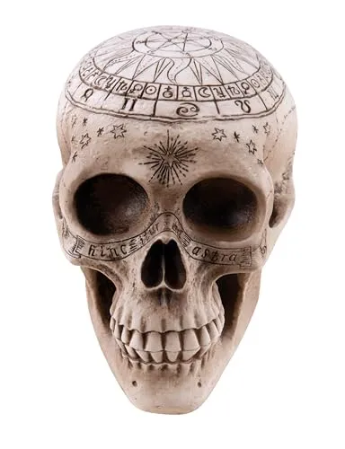 P'tit Clown teschio resina 20 cm decorazione halloween beige